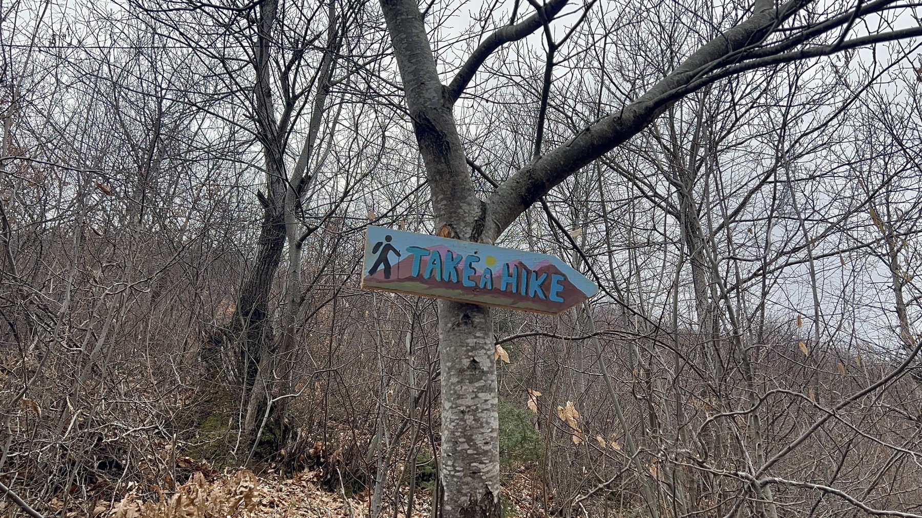 A Take a Hike trail sign on the open first leg of the Kabash Trail above Pogradec